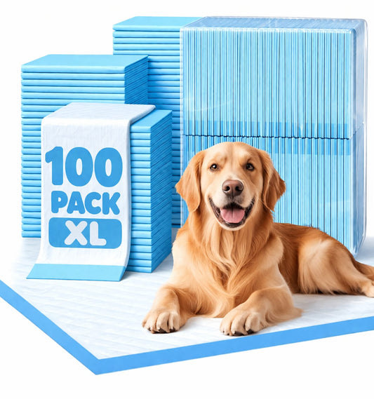 PawSecure Super Absorbent Dog Training Pee Pads – 5-Layer Leak-Proof Design with Rapid Dry Technology (22x22 Inch)