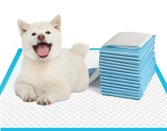 PawSecure Super Absorbent Dog Training Pee Pads – 5-Layer Leak-Proof Design with Rapid Dry Technology (22x22 Inch)