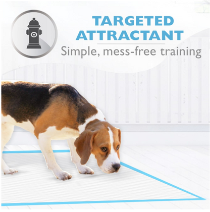 PawSecure Super Absorbent Dog Training Pee Pads – 5-Layer Leak-Proof Design with Rapid Dry Technology (22x22 Inch)