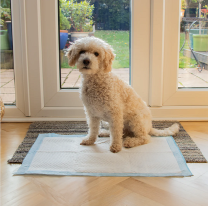 PawSecure Super Absorbent Dog Training Pee Pads – 5-Layer Leak-Proof Design with Rapid Dry Technology (22x22 Inch)