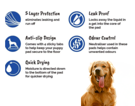 PawSecure Super Absorbent Dog Training Pee Pads – 5-Layer Leak-Proof Design with Rapid Dry Technology (22x22 Inch)